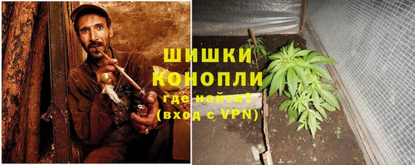 крисы Володарск