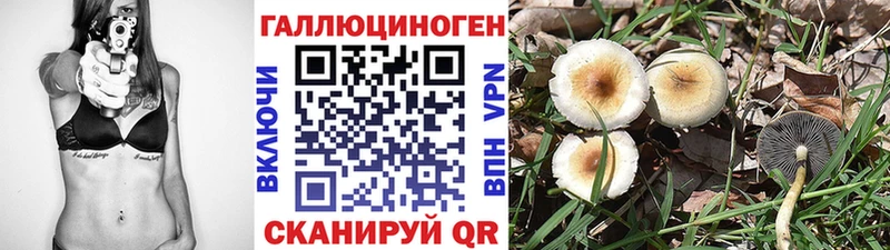 Галлюциногенные грибы MAGIC MUSHROOMS цена Пикалёво